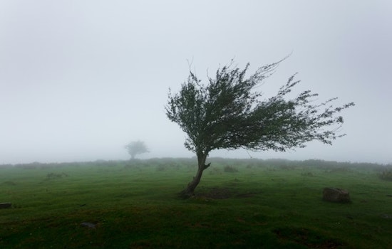 Wind Whips, Rain Teases as Las Vegas Braces for Blustery Sunday