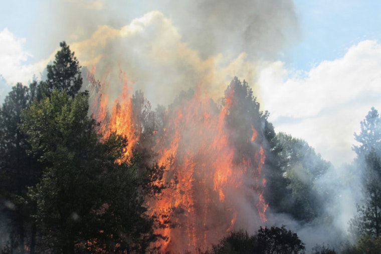 Windy, Bone-Dry Saturday Puts NYC on Fire Watch