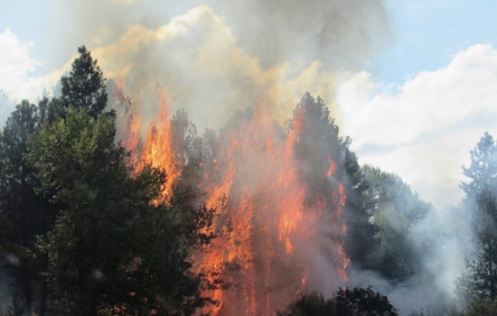 Windy, Bone-Dry Saturday Puts NYC on Fire Watch