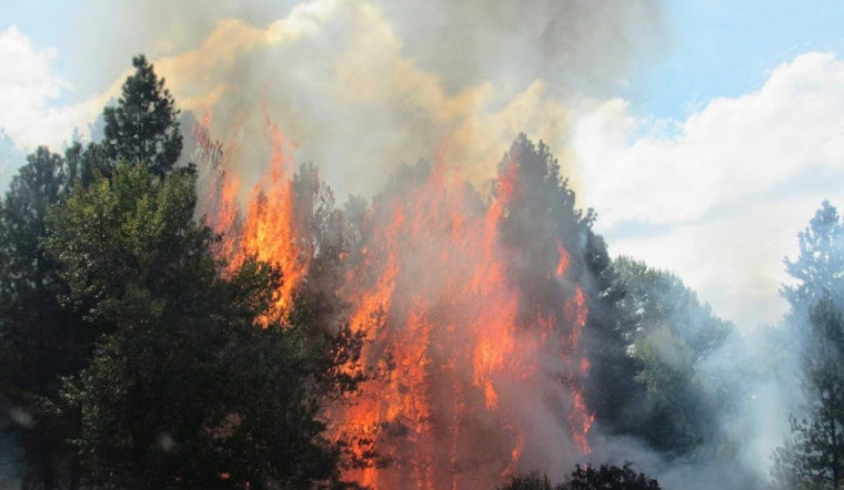 Windy, Bone-Dry Saturday Puts NYC on Fire Watch
