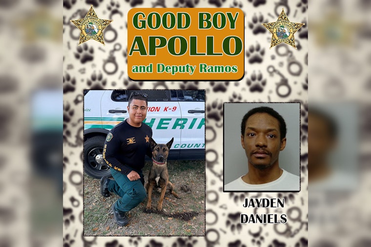 Winter Haven K9 Apollo Nabs Felon Riding Dirty With Glock