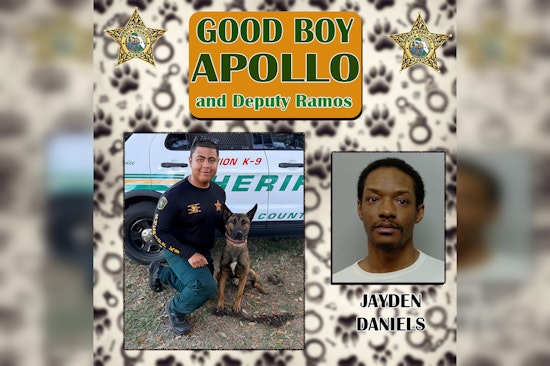 Winter Haven K9 Apollo Nabs Felon Riding Dirty With Glock