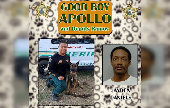 Winter Haven K9 Apollo Nabs Felon Riding Dirty With Glock