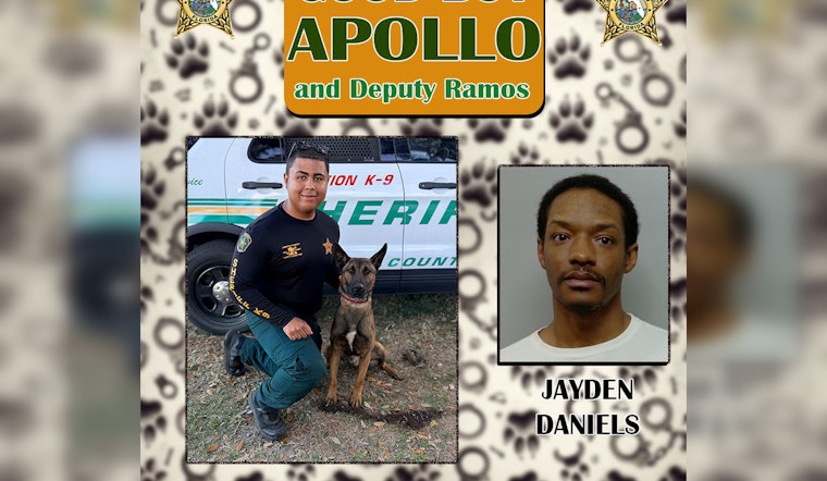 Winter Haven K9 Apollo Nabs Felon Riding Dirty With Glock