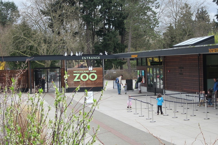 Woodland Park Zoo's New Sky-High Trail Puts Seattle Nose to Nose With Tree Kangaroos