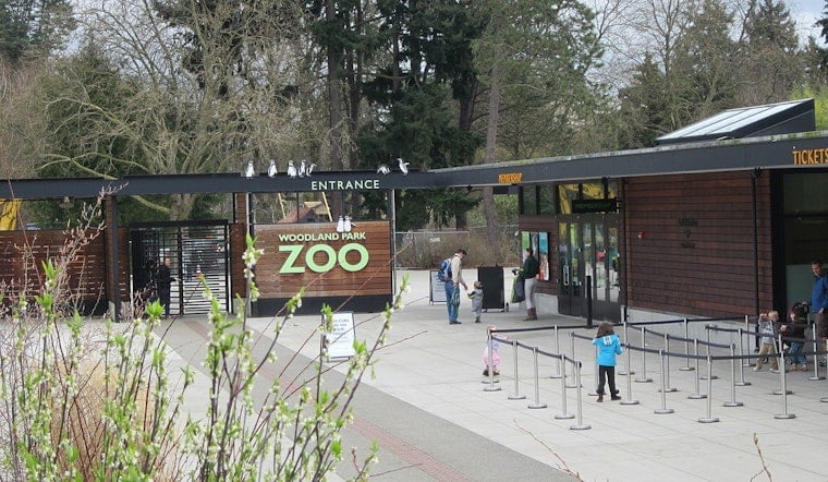 Woodland Park Zoo's New Sky-High Trail Puts Seattle Nose to Nose With Tree Kangaroos