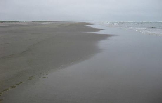 18th Gray Whale Found Near Long Beach Peninsula, WA