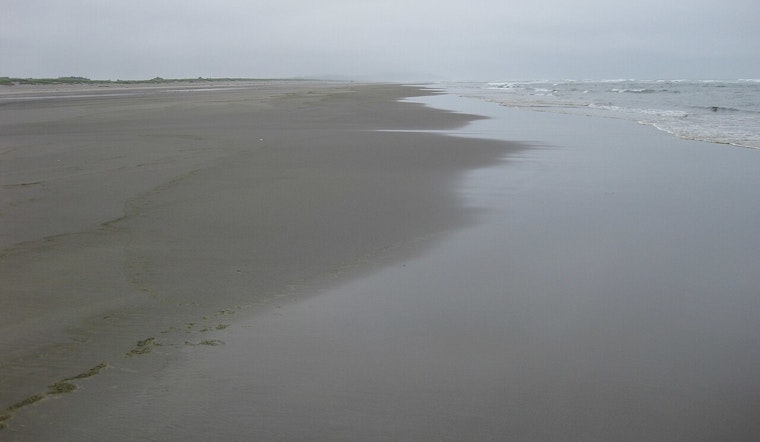 18th Gray Whale Found Near Long Beach Peninsula, WA