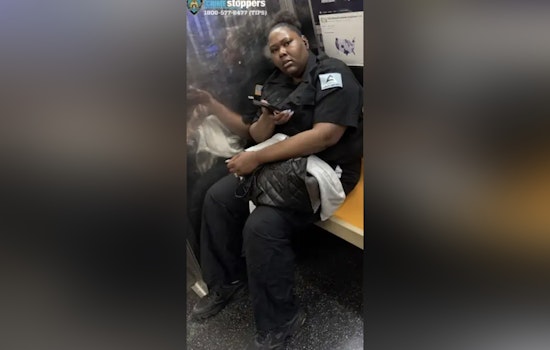 SoHo Security Guard Wanted After Allegedly Punching 77-Year-Old on D Train