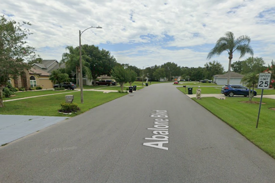 Abalone Boulevard Turns Deadly as 26-Year-Old Gunned Down in Wedgefield