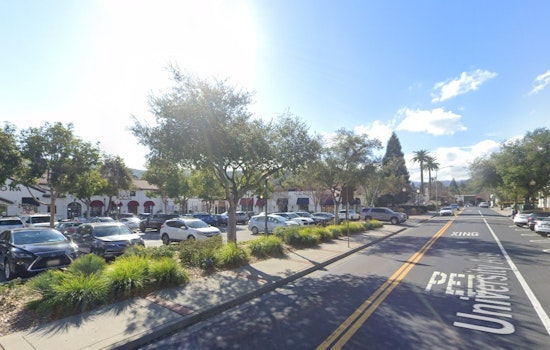 Açaí Invasion: Palmetto Superfoods Quietly Lands In Old Town Los Gatos