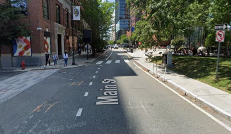 Alice & Monarch Debuts in Kendall Square