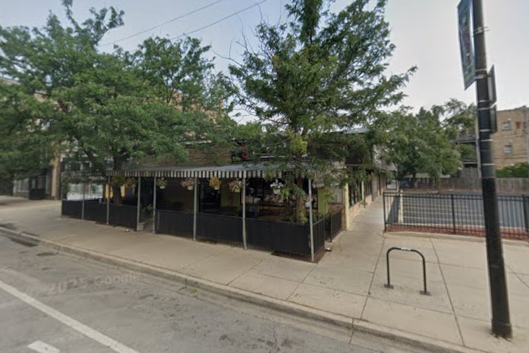 Alley Cat Sneaks Onto Wicker Park Border With Draft Cocktails On Tap