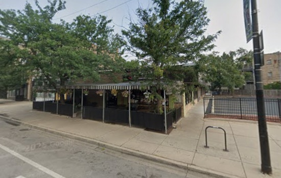 Alley Cat Sneaks Onto Wicker Park Border With Draft Cocktails On Tap