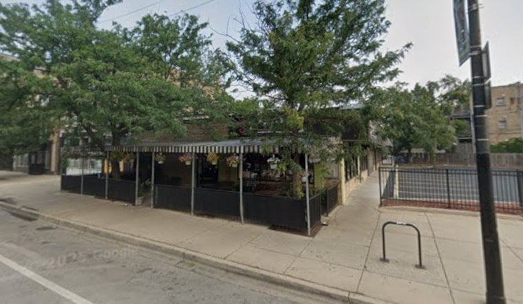 Alley Cat Sneaks Onto Wicker Park Border With Draft Cocktails On Tap