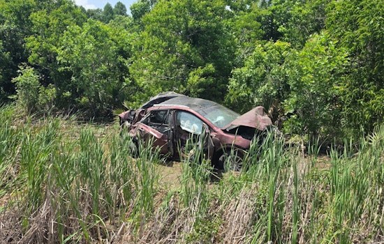 Amtrak Slams Car Near Summer Creek High, Gators Spook Rescuers