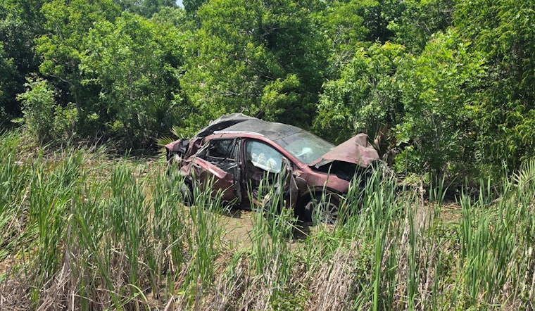 Amtrak Slams Car Near Summer Creek High, Gators Spook Rescuers