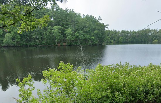 Andover Pond Scare: Unresponsive Youth Airlifted To Boston Hospital