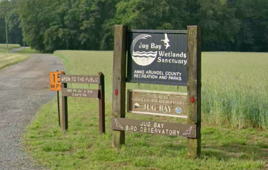 Anne Arundel Opens New Overnight Cabins At Jug Bay