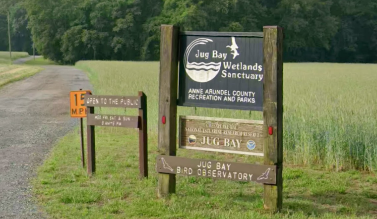 Anne Arundel Opens New Overnight Cabins At Jug Bay