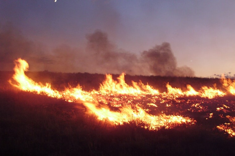 Antelope Valley Winds Drive Two Brush Fires Near Lancaster