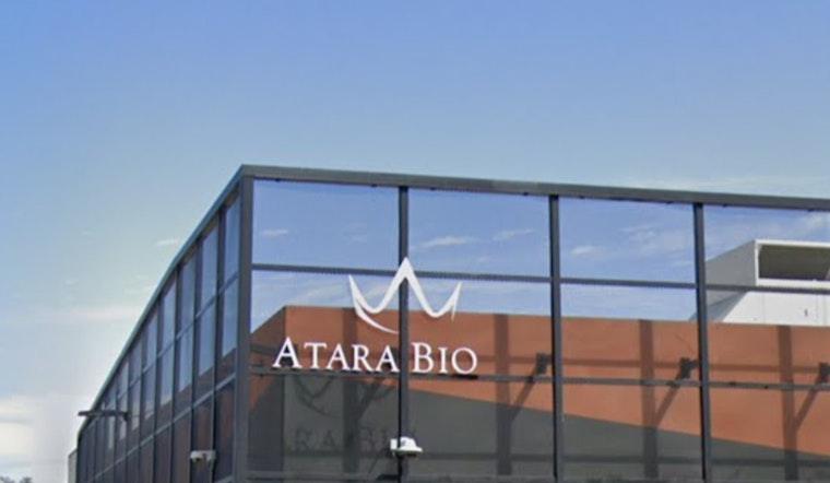 Atara Secures FDA Path To Resubmit Tab‑cel, Stock Rallies