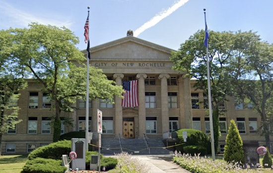 Background Check Blowup: New Rochelle Puts Convicted Felon On Veterans Panel
