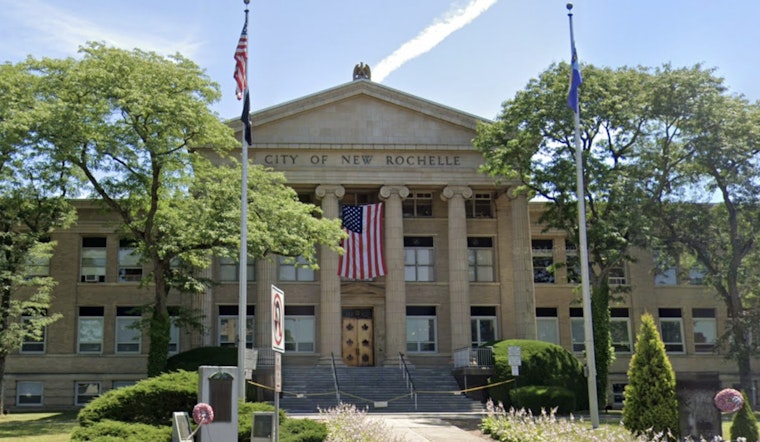 Background Check Blowup: New Rochelle Puts Convicted Felon On Veterans Panel