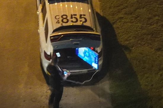 Backyard Bust As Precinct 4 Drone And K-9 Corner Wanted Man In Spring