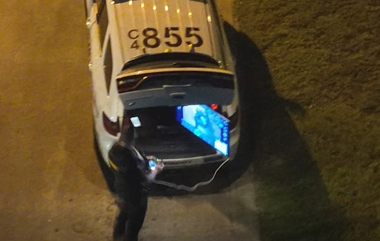 Backyard Bust As Precinct 4 Drone And K-9 Corner Wanted Man In Spring