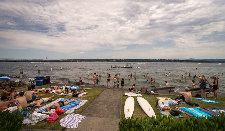 Bacteria Scare Shuts Down Three King County Swim Hotspots