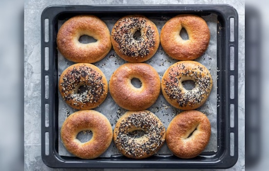 Bagel Bear Brings New York Bagels To Cedar Park