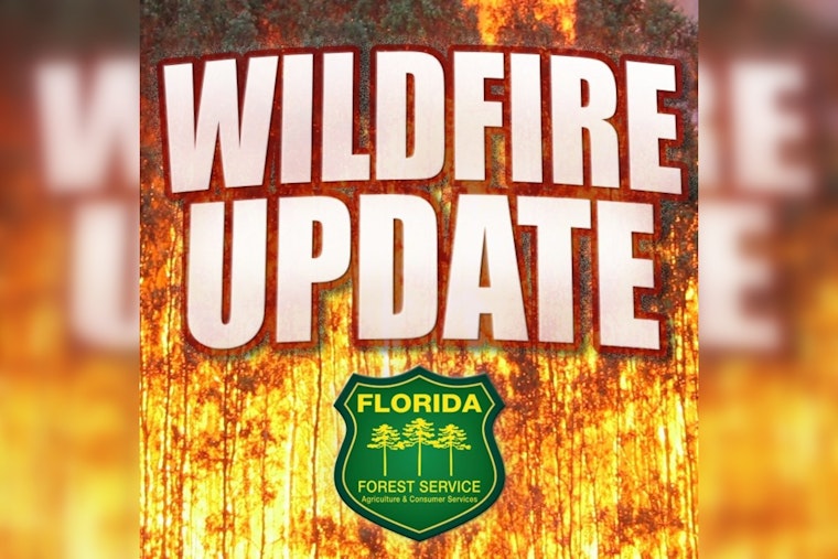 Baird Blaze Tamed As Crews Lock Down Lines In Sumter County Forest