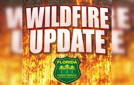 Baird Blaze Tamed As Crews Lock Down Lines In Sumter County Forest