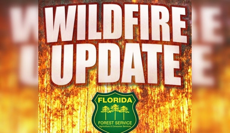 Baird Blaze Tamed As Crews Lock Down Lines In Sumter County Forest