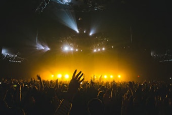 Ballard's Freakout Fallout, Beloved Music Fest Vanishes From Fall Lineup