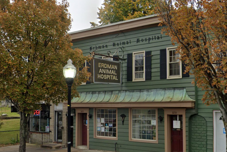 Baltimore Vet Closure Spurs Search For Affordable Pet Care
