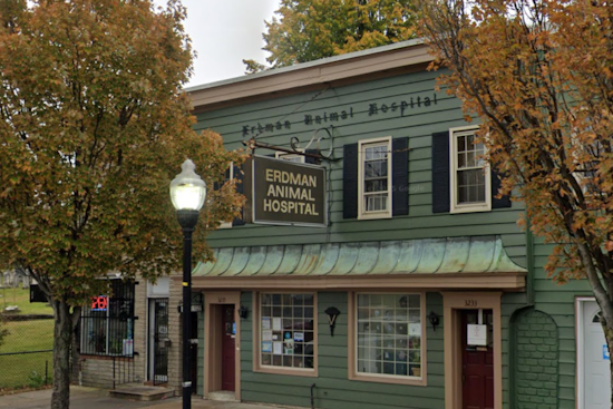 Baltimore Vet Closure Spurs Search For Affordable Pet Care