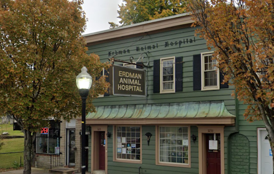 Baltimore Vet Closure Spurs Search For Affordable Pet Care