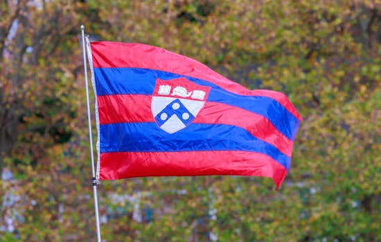 Basement Cubicle and 'Redundant' Firing: Ex-Penn Finance Aide Sues Over Bias