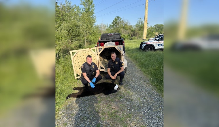 Bear Captured Near Lehigh County Soccer Fields