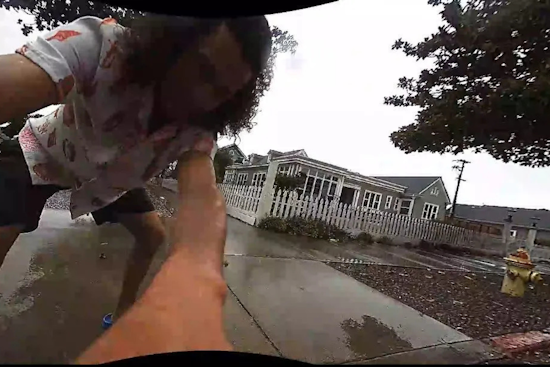 Beer, Bots and a Beatdown: Hollister Cops Hunt Suspects in Sidewalk Robot Smackdown