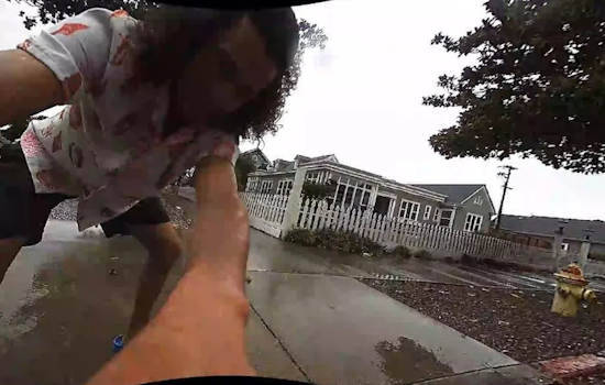 Beer, Bots and a Beatdown: Hollister Cops Hunt Suspects in Sidewalk Robot Smackdown