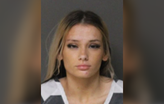Bel Air Teen Charged After Leaving Infant For McDonald's Meetup