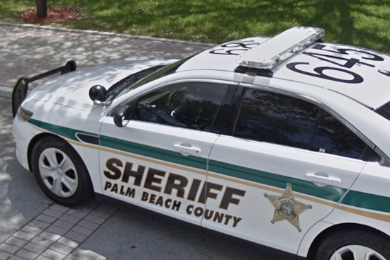 Beloved Pig Harold Brutally Killed, Shocking Quiet Palm Beach Gardens Enclave