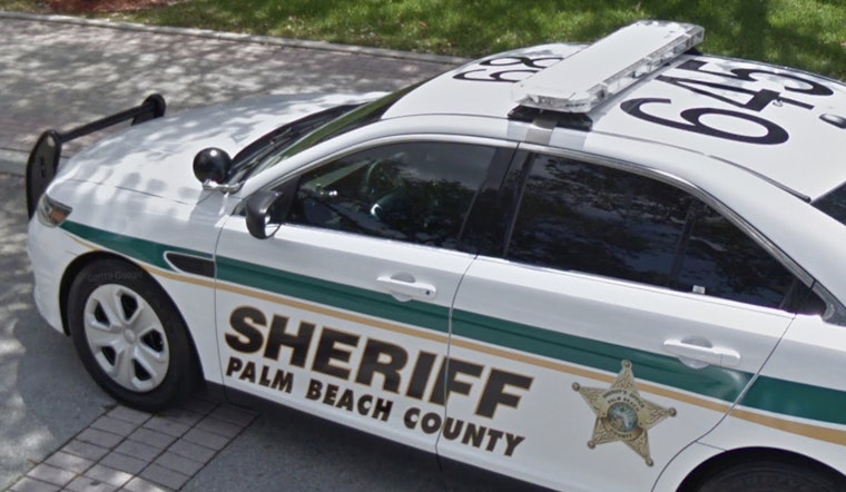 Beloved Pig Harold Brutally Killed, Shocking Quiet Palm Beach Gardens Enclave