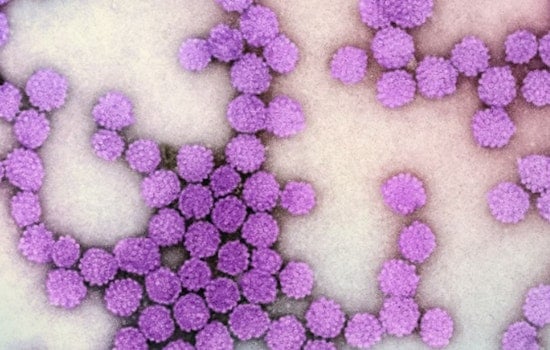 Bepirovirsen Shows Promise As Functional Cure For Hepatitis B