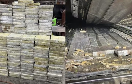 Berry Bust On The Bay As Feds Find Nearly 500 Pounds Of Meth In Galveston Shipment