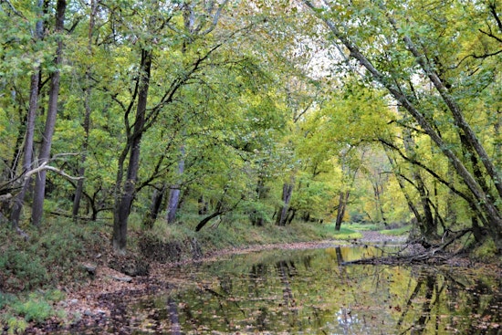 Big Oaks Refuge Caught In Crossfire As Feds Rework Deal Over Southeast Indiana Wildlands