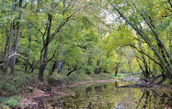 Big Oaks Refuge Caught In Crossfire As Feds Rework Deal Over Southeast Indiana Wildlands
